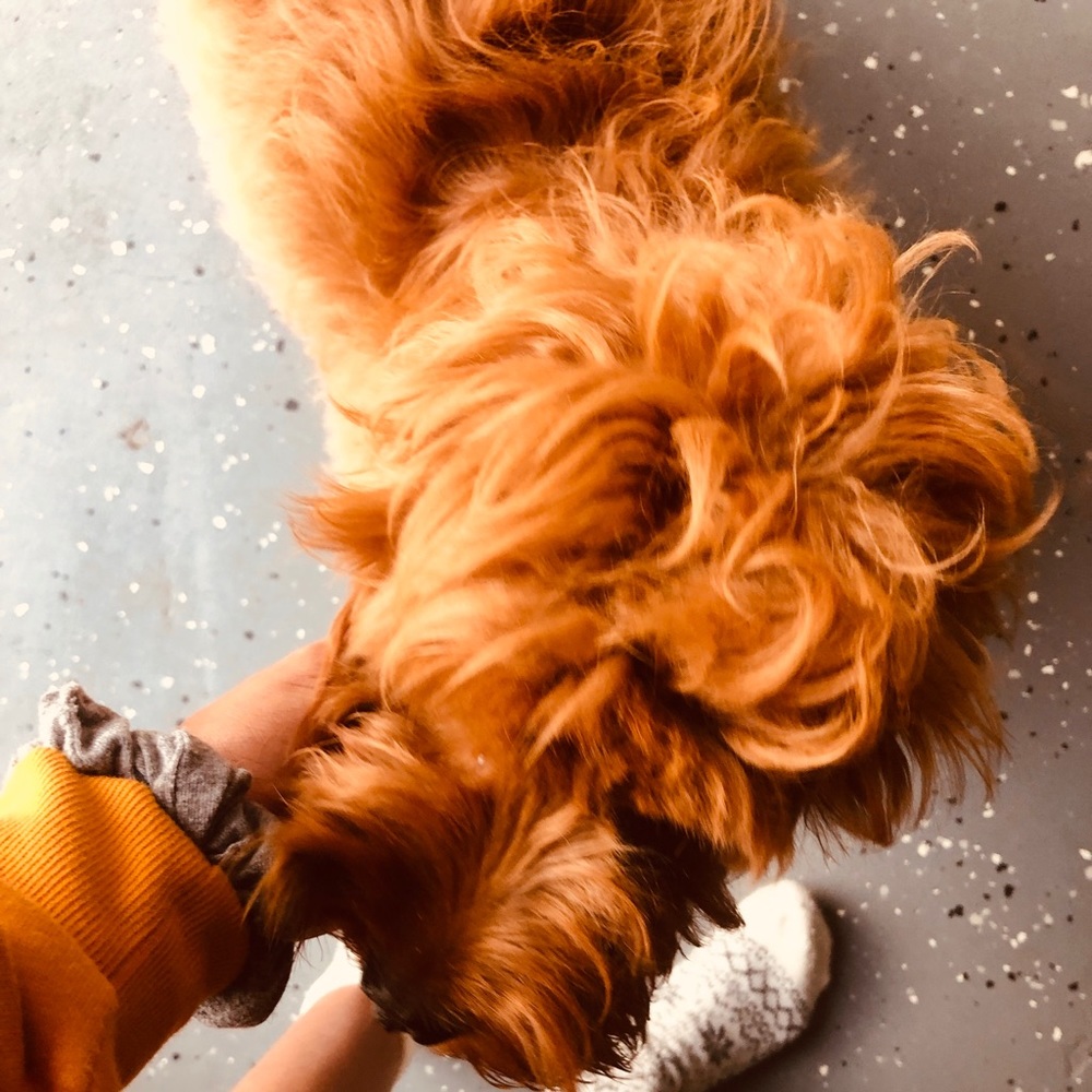 Meet your Posher, Alescia